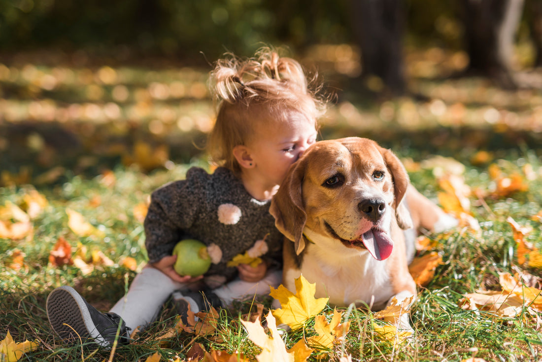 Wenn Hund und Kind zusammen aufwachsen