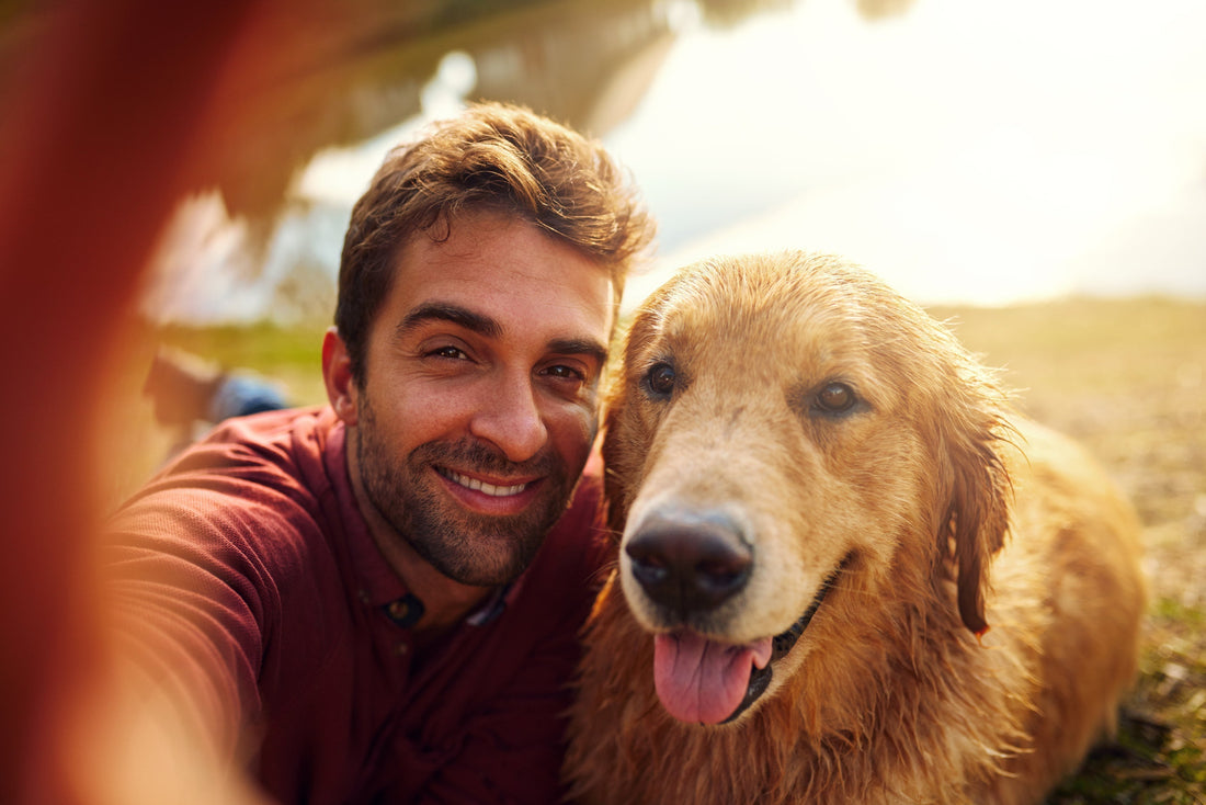 Herrchen & Frauchen: Lustige Hunde-Momente